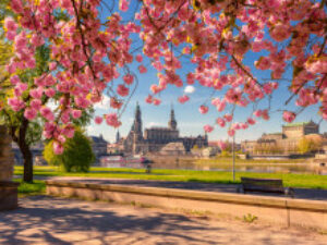 Die „Barockstadt“ Dresden