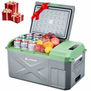 AAOBOSI Kompressor Kühlbox 17L, Kühlbox Auto Klein, Kühlbox Elektrisch -20°C bis 20°C, 12/24V DC 100-240 VC Kühlbox für Auto, LKW, Boot, Reisemobil, Camping