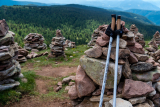 Nordic Walking: Zubehör, Anleitung & Einstieg